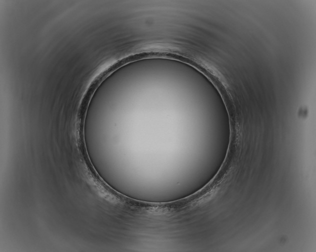 X0000090751029200708031603