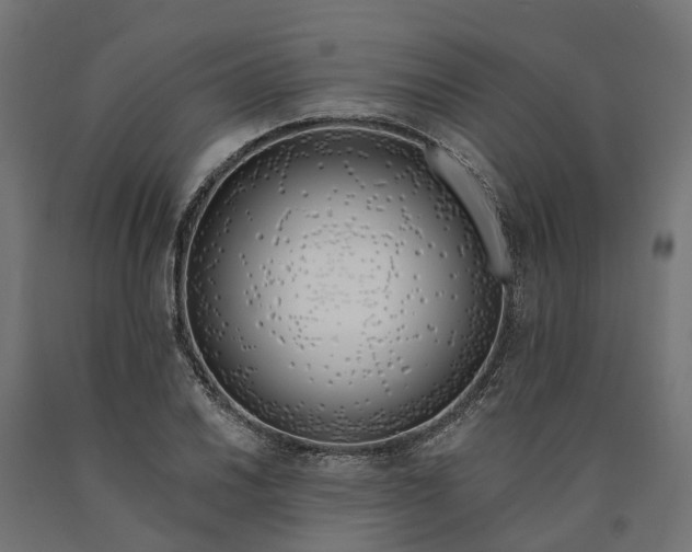 X0000090751030200708031603