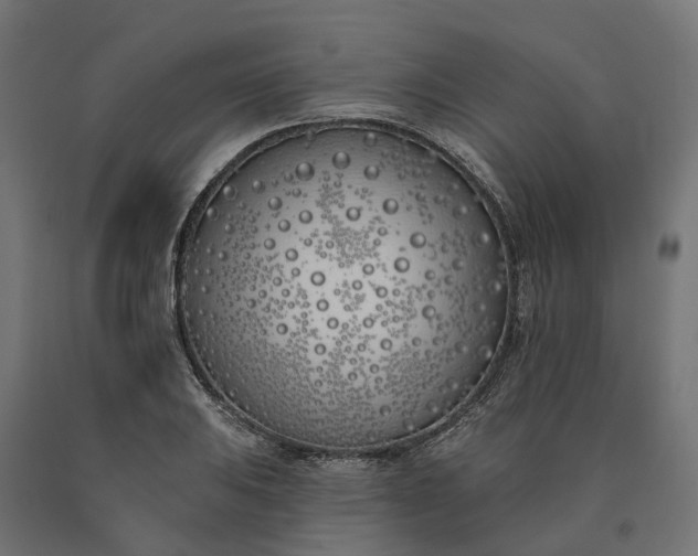 X0000090751031200708031603