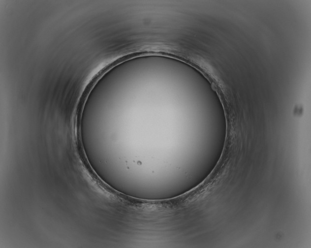 X0000090751032200708031603