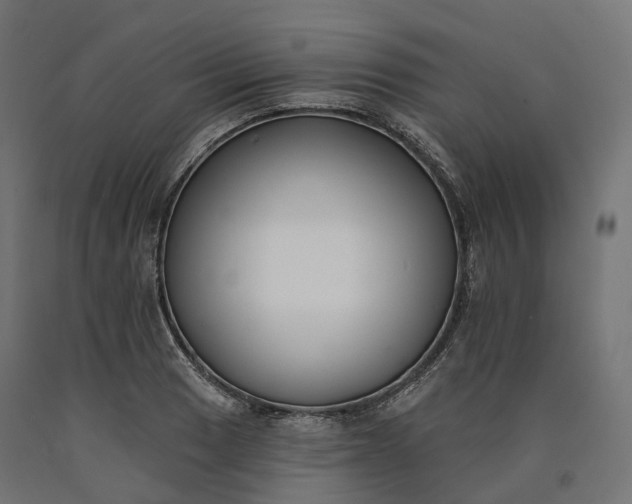 X0000090751033200708031603