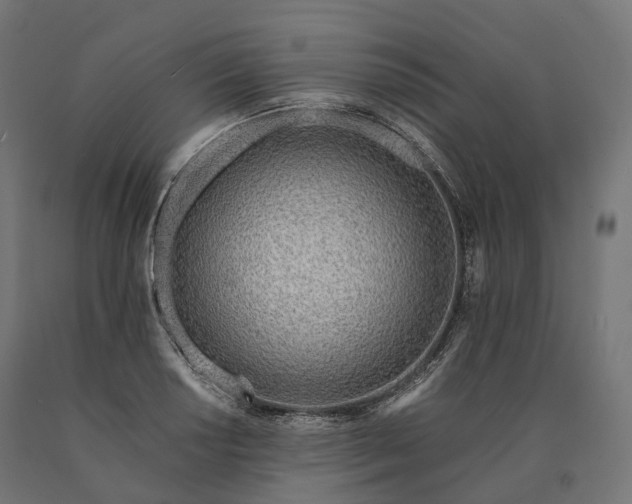 X0000090751034200708031603