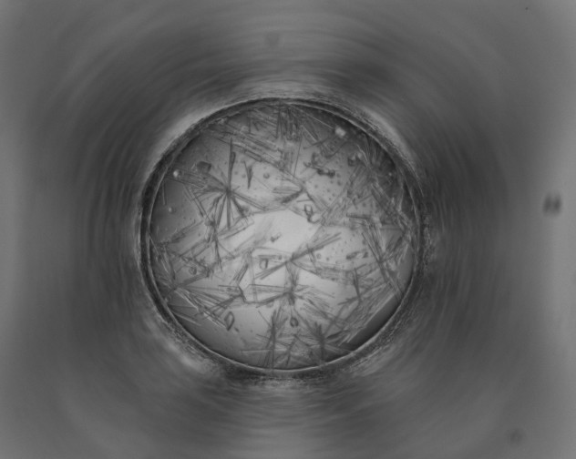 X0000090751035200708031603