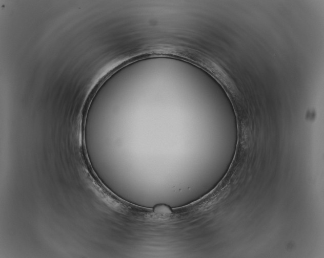 X0000090751036200708031603