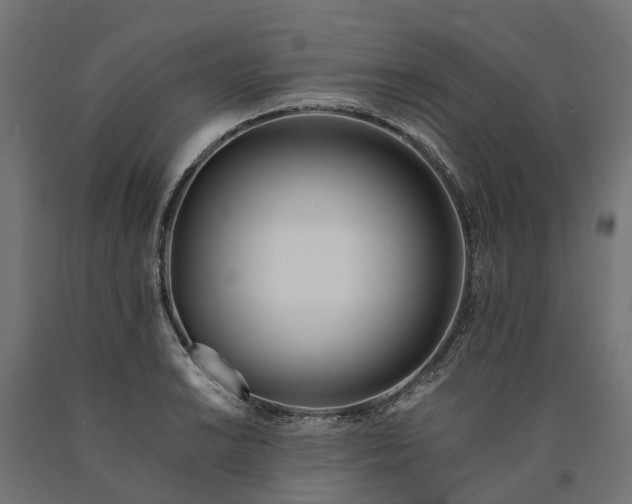 X0000090751038200708031603