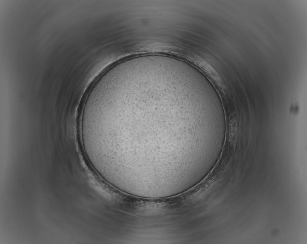 X0000090751039200708031603