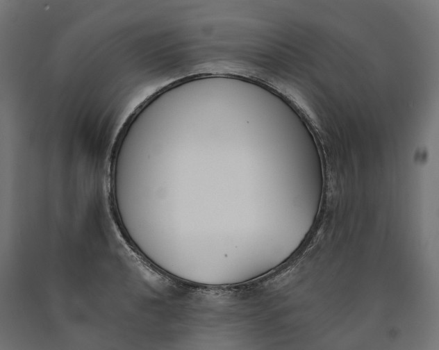 X0000090751040200708031603