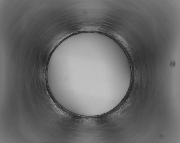 X0000090751041200708031603