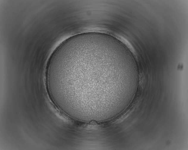 X0000090751043200708031603