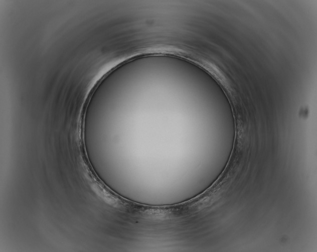 X0000090751044200708031603