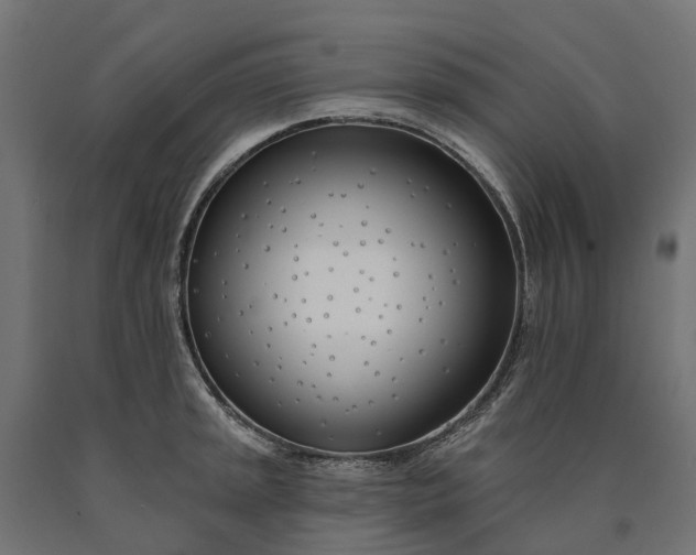 X0000090751045200708031603