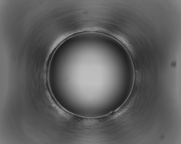 X0000090751046200708031603