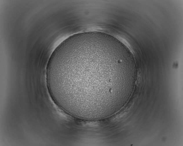 X0000090751047200708031603