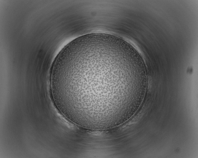 X0000090751048200708031603