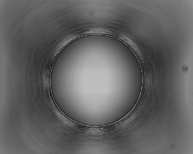 X0000090751049200708031603