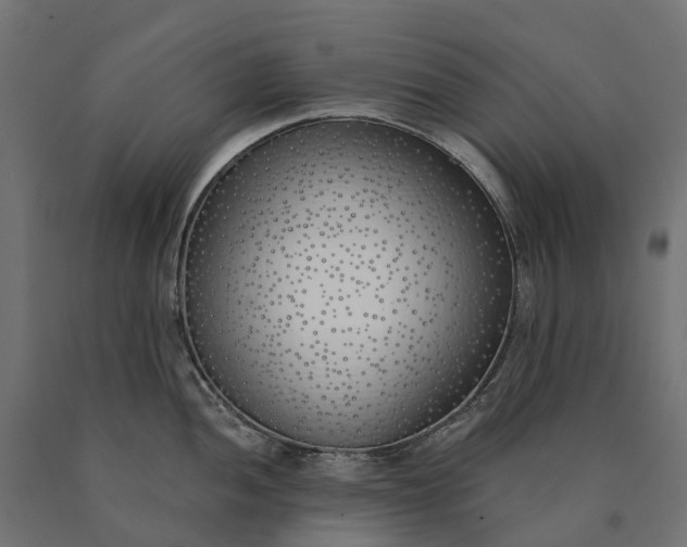 X0000090751052200708031603