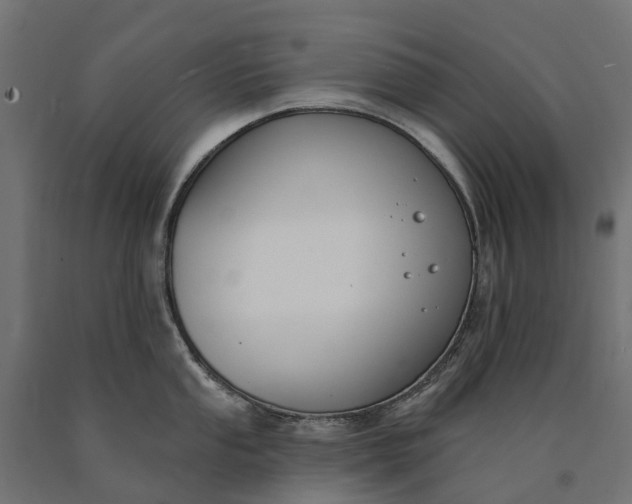 X0000090751053200708031603