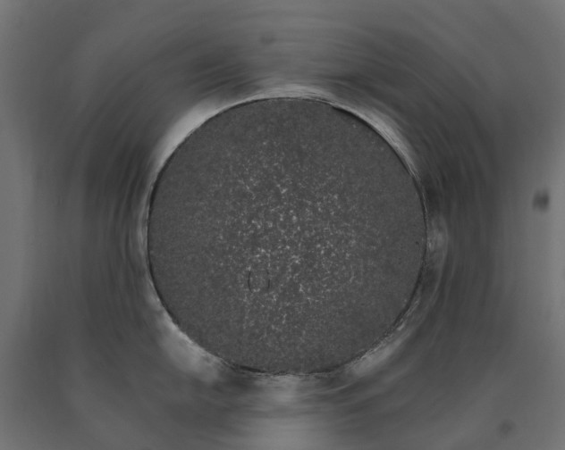 X0000090751054200708031603