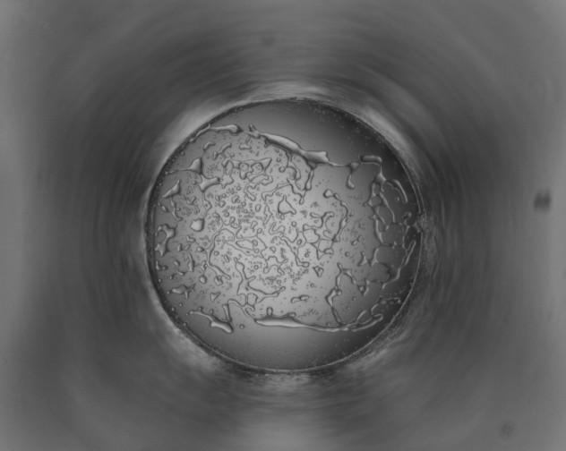 X0000090751055200708031603