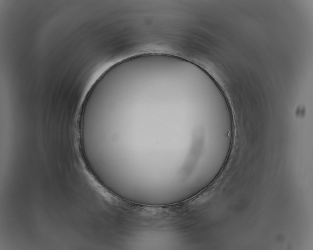 X0000090751056200708031603