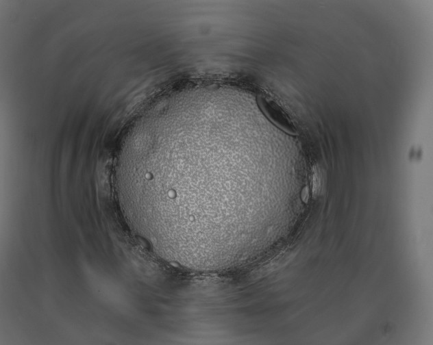 X0000090751059200708031603