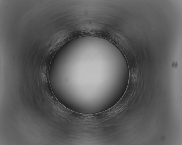 X0000090751060200708031603