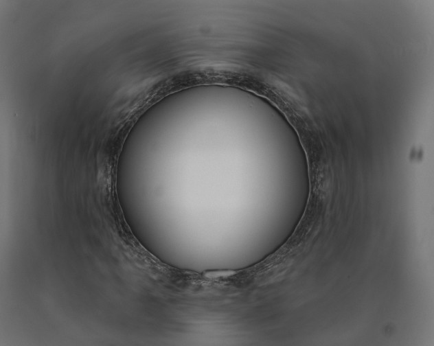 X0000090751061200708031603