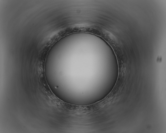 X0000090751062200708031603