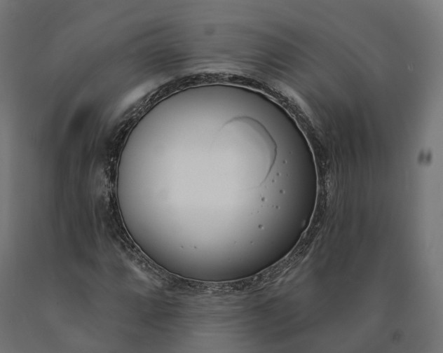 X0000090751064200708031602