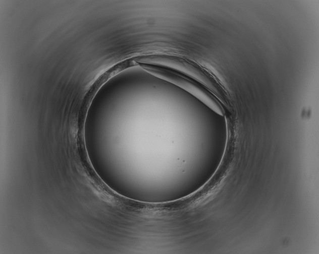 X0000090751065200708031602