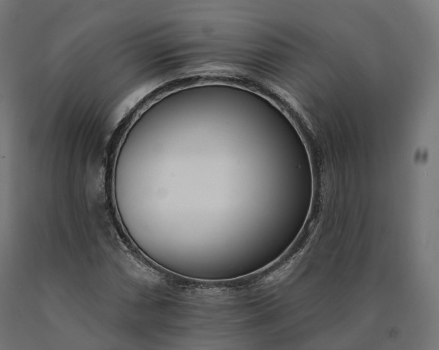 X0000090751066200708031602