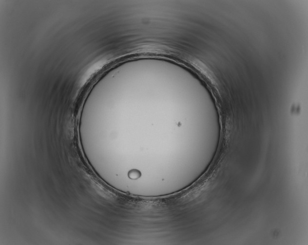 X0000090751067200708031602