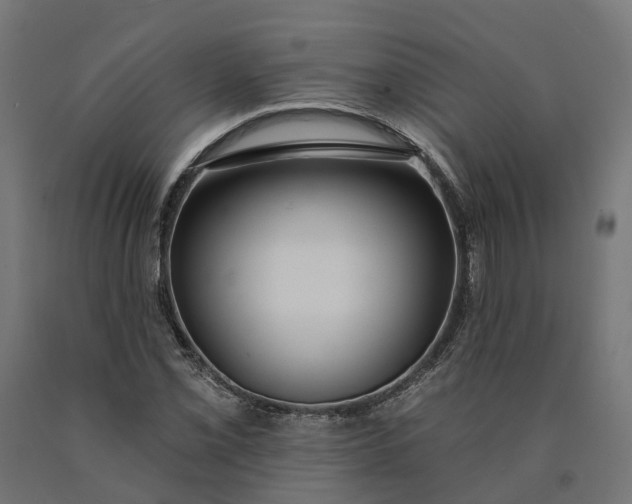 X0000090751069200708031602