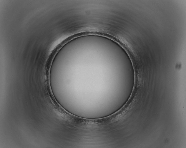 X0000090751070200708031602