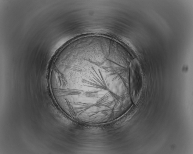 X0000090751071200708031602