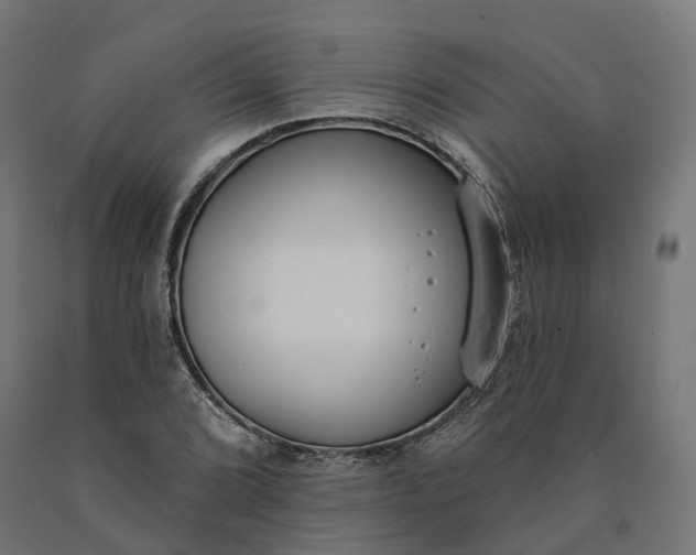 X0000090751072200708031602