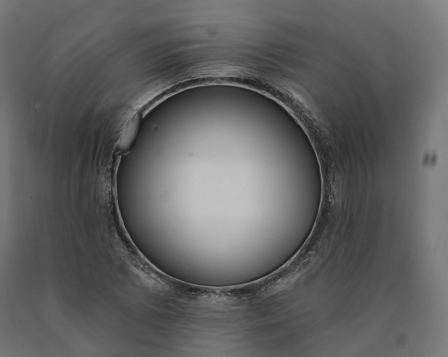 X0000090751073200708031602