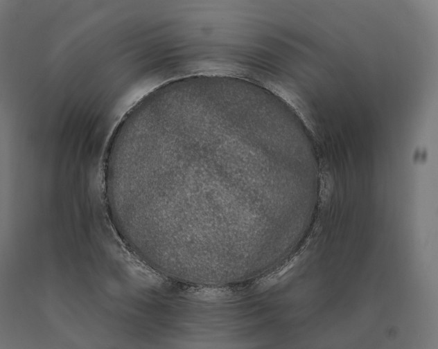 X0000090751074200708031602