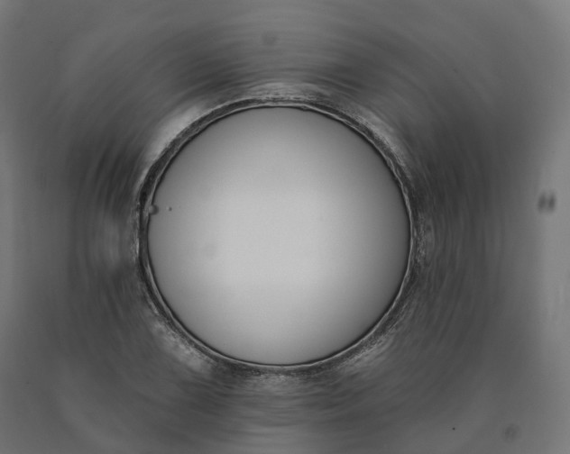 X0000090751075200708031602