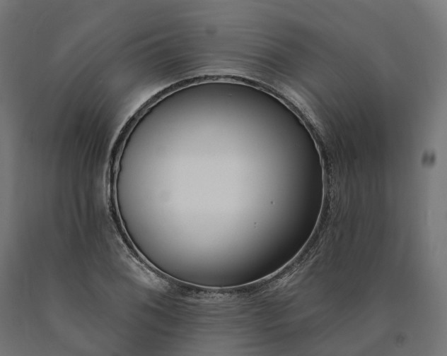 X0000090751076200708031602