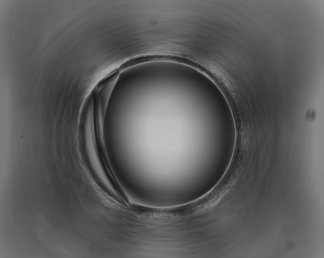 X0000090751077200708031602