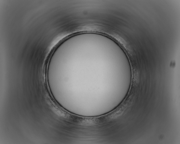 X0000090751078200708031602