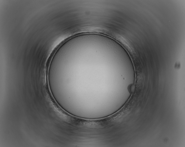 X0000090751079200708031602