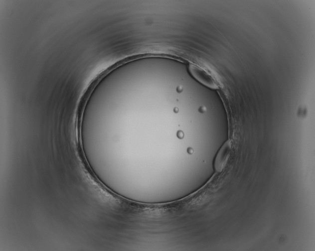 X0000090751080200708031602