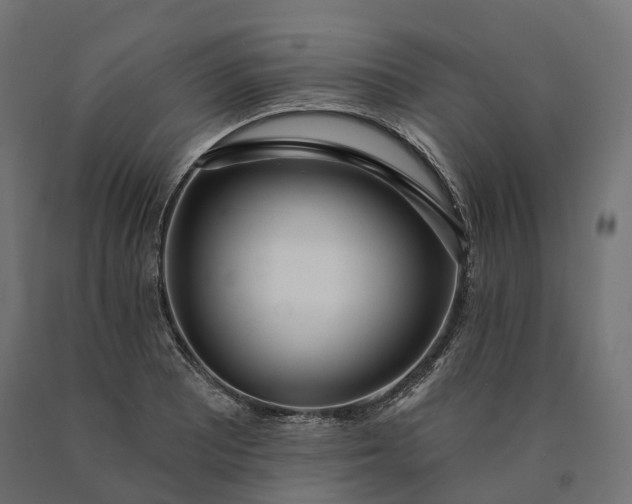 X0000090751081200708031602