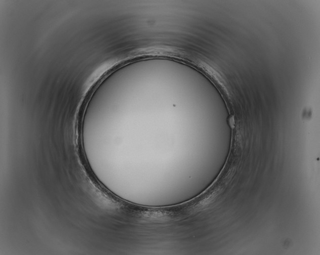 X0000090751082200708031602