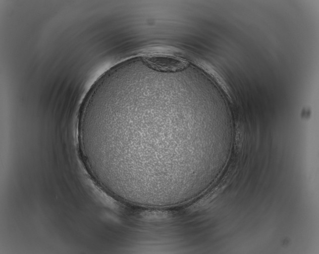 X0000090751083200708031602