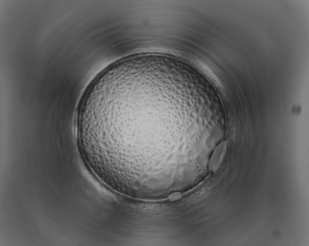 X0000090751084200708031602