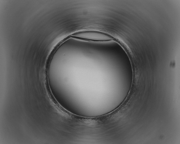 X0000090751085200708031602