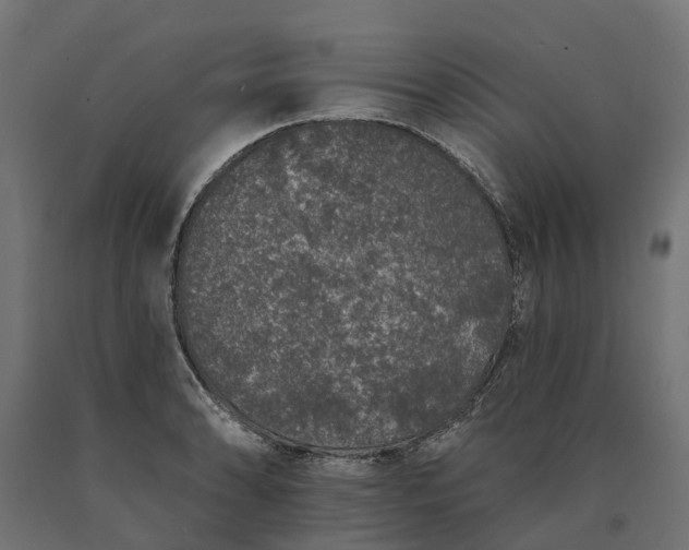 X0000090751086200708031602